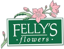 Felly's Flowers