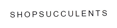 Shop Succulents