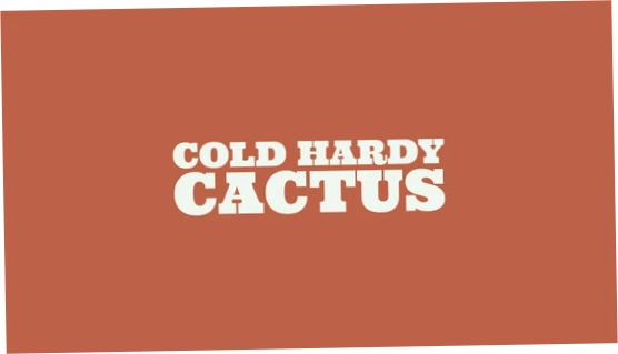 Cold Hardy Cactus