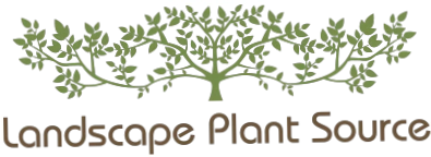 Landscape Plant Source