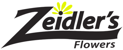 Zeidlers