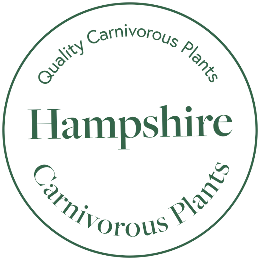 Hantsflytrap