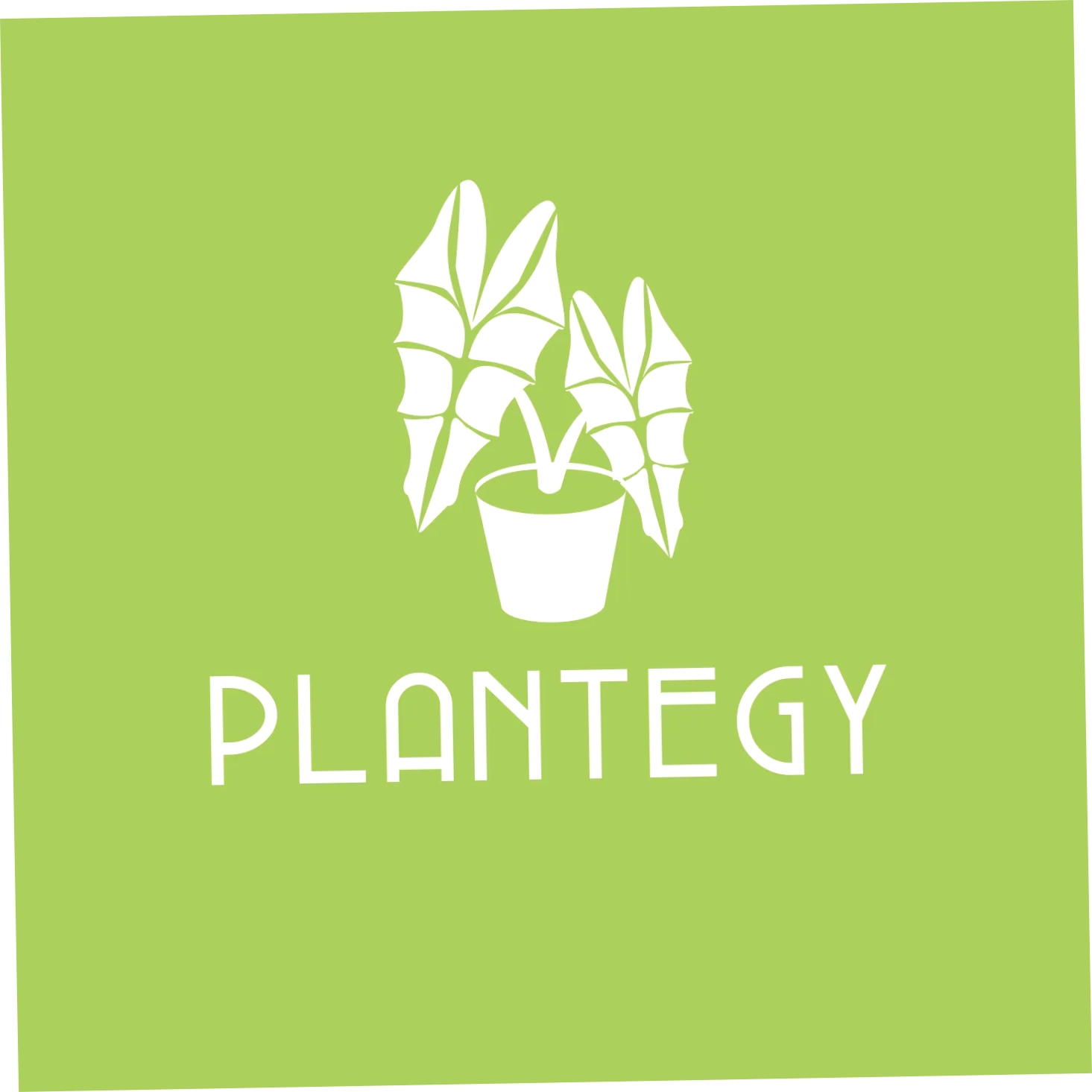 Plantegy