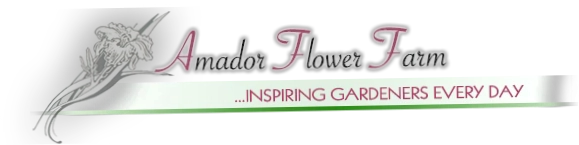 Amador Flower Farm