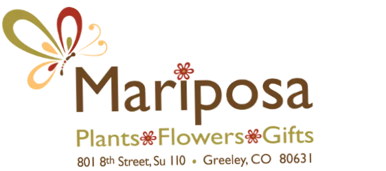 Mariposa Flowers