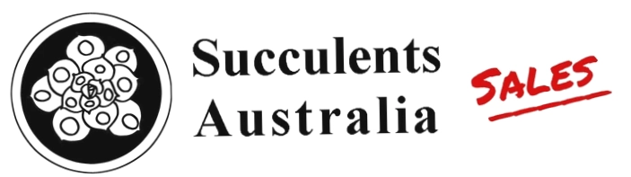Succulents Australia