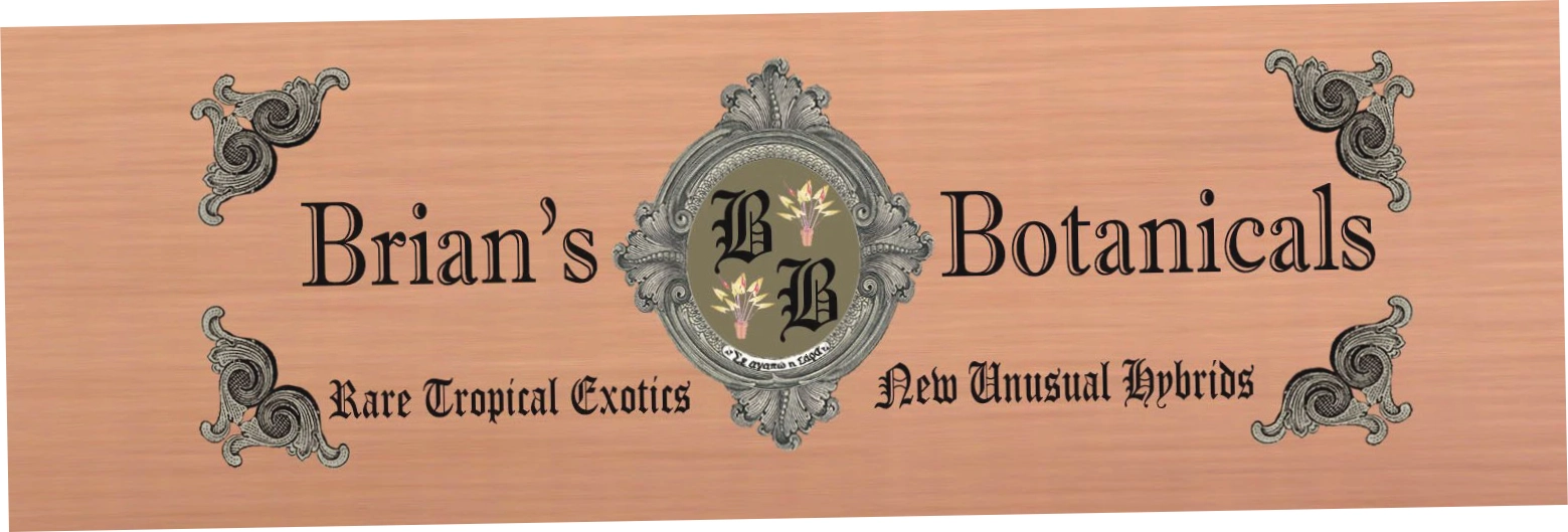 Brian's Botanicals