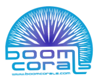 Boom Corals