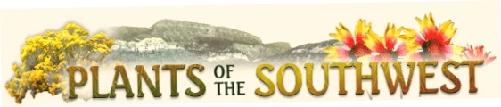 Plants of the Southwest