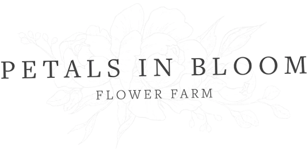 Petals in Bloom Flower Farm