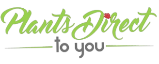 Plants Direct To You