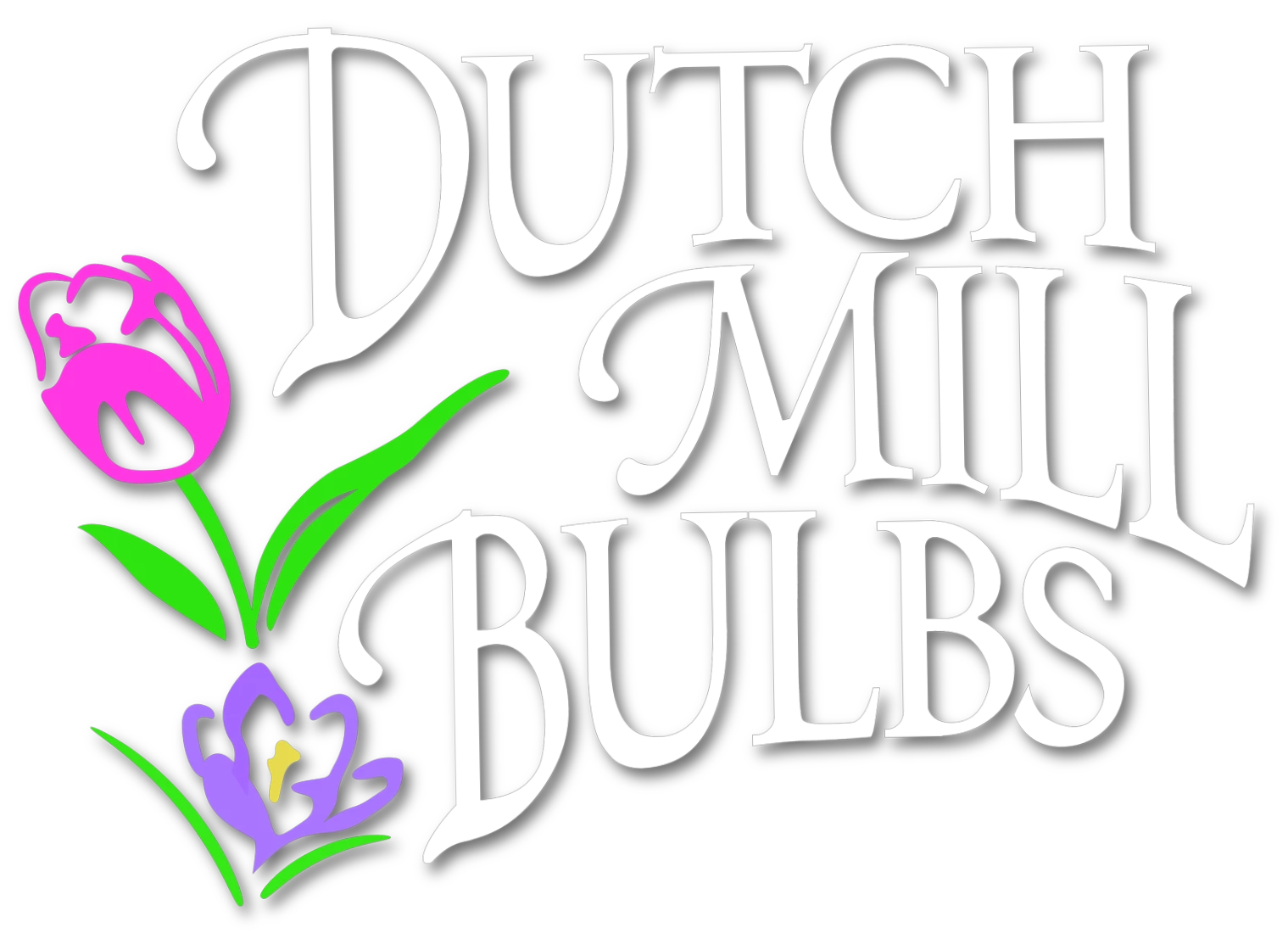 Dutch Mill Bulbs