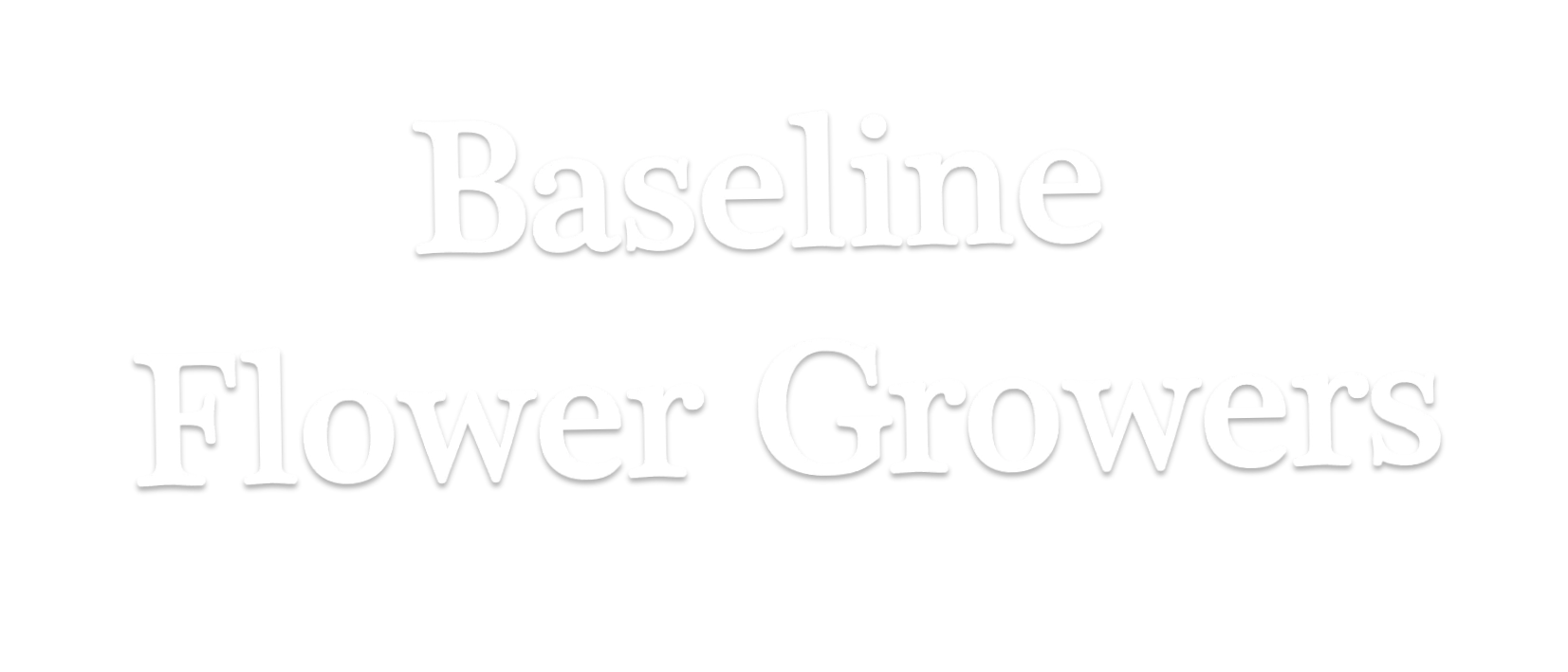 Baseline Flowers