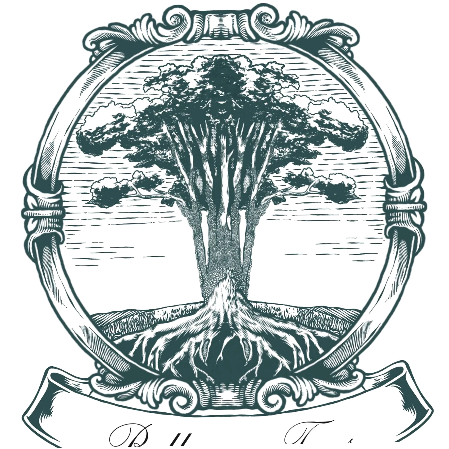 Bellamy Trees