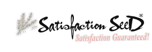 Satisfaction Seed