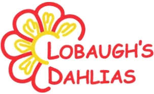 Lobaugh's Dahlias