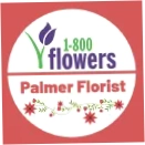 Palmer Florist