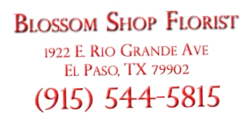 The Blossom Florist