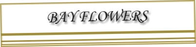 Bay Flowers