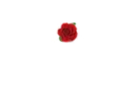 Cps Flowers