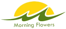 Morning Flowers