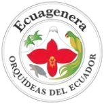 Ecuagenera