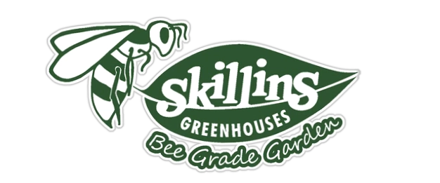 Skillins