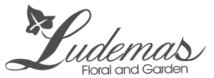 Ludema's