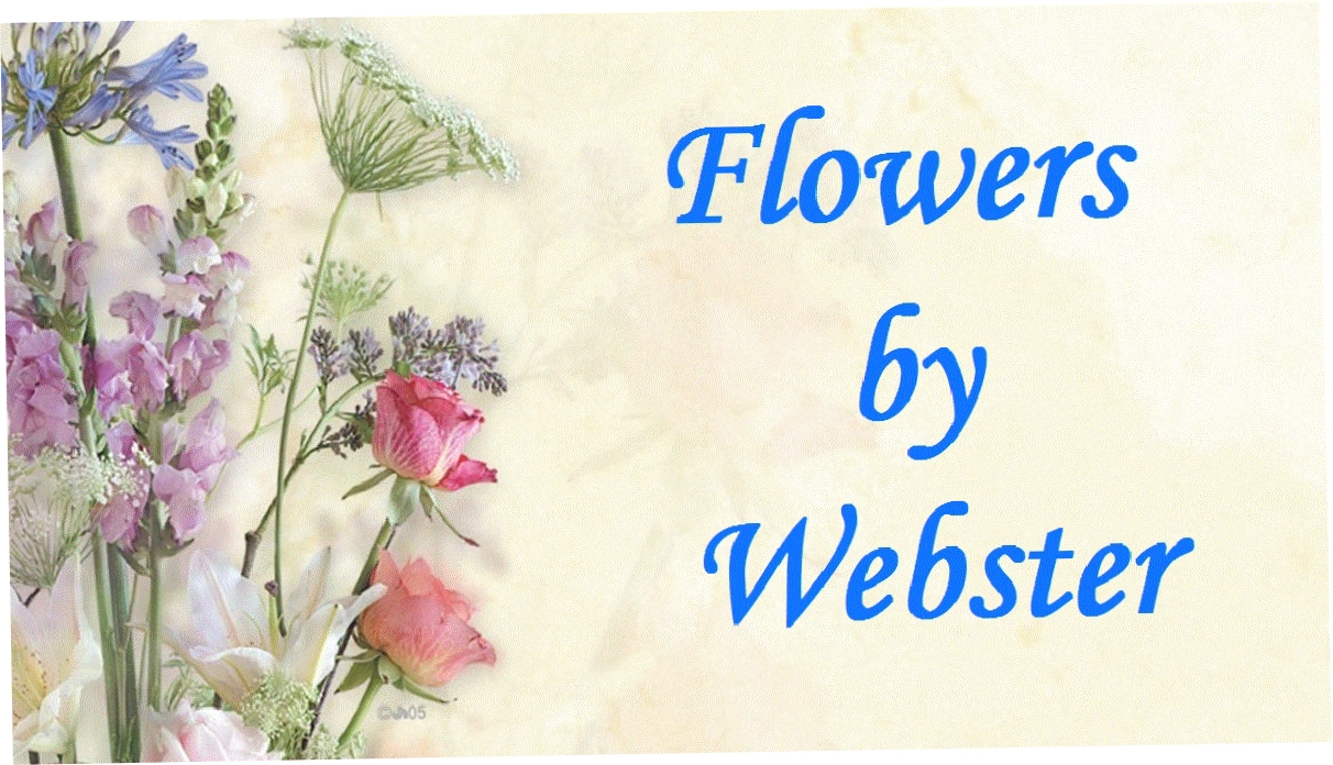 Flowers By Webster