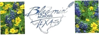 BLOOMIN ACROSS TEXAS