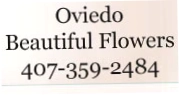 Oviedo Beautiful Flowers