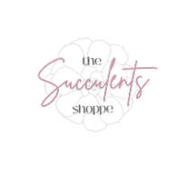 The Succulents Shoppe