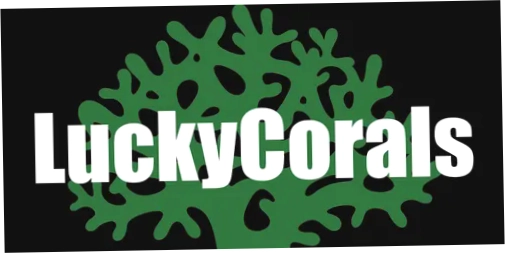 Lucky Corals