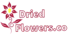 Dried Flowers