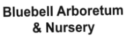 Bluebellnursery