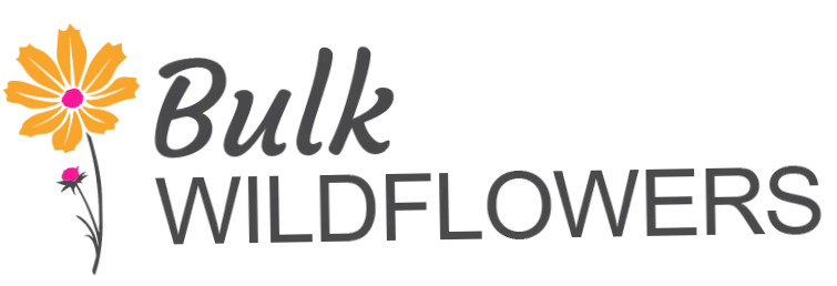Bulk Wildflowers