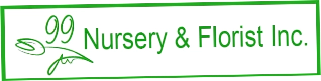 99 Nursery