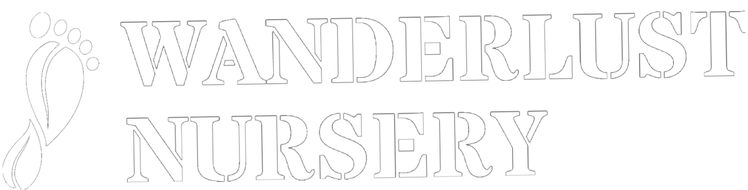 Wanderlust Nursery