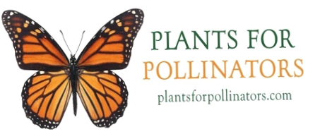Plants For Pollinators