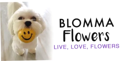 Blomma Flowers