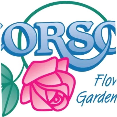 Corsos Sandusky
