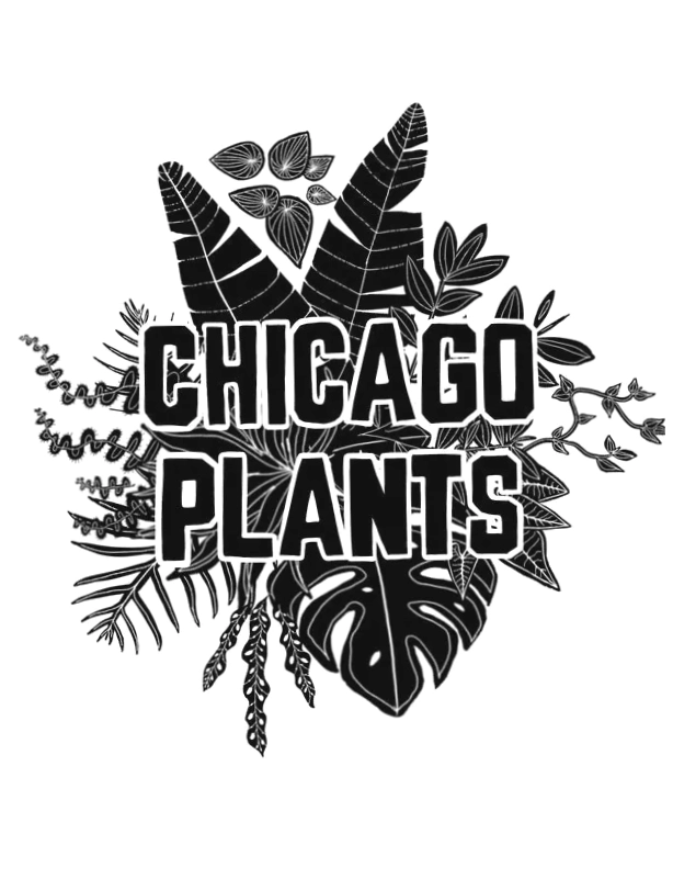 Chicago Plants