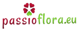 Passioflora