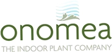 Onomea