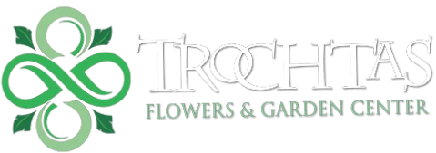 Trochta's