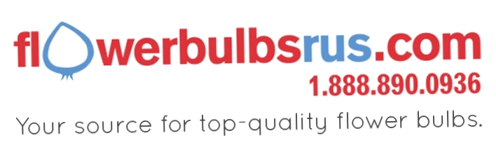 Flowerbulbsrus