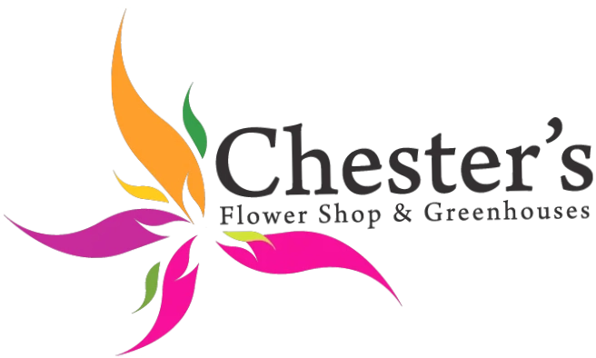 Chesters Flowers