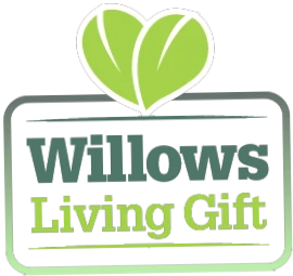Willows living gifts