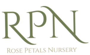 Rose Petals Nursery