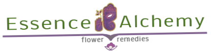 Essence Alchemy